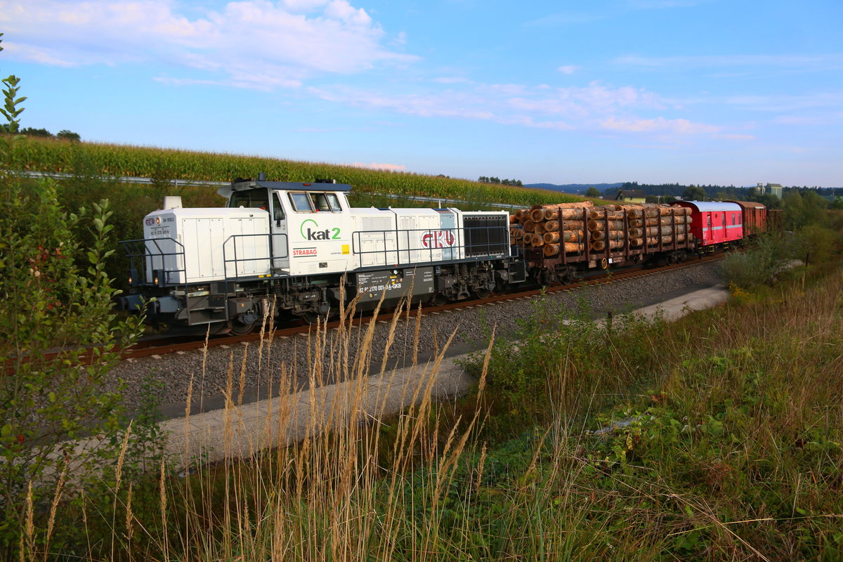 Bei Wettmanstätten zieht DH 1700.2 Ihren Güterzug durch den Bahnhof. 2.09.2016