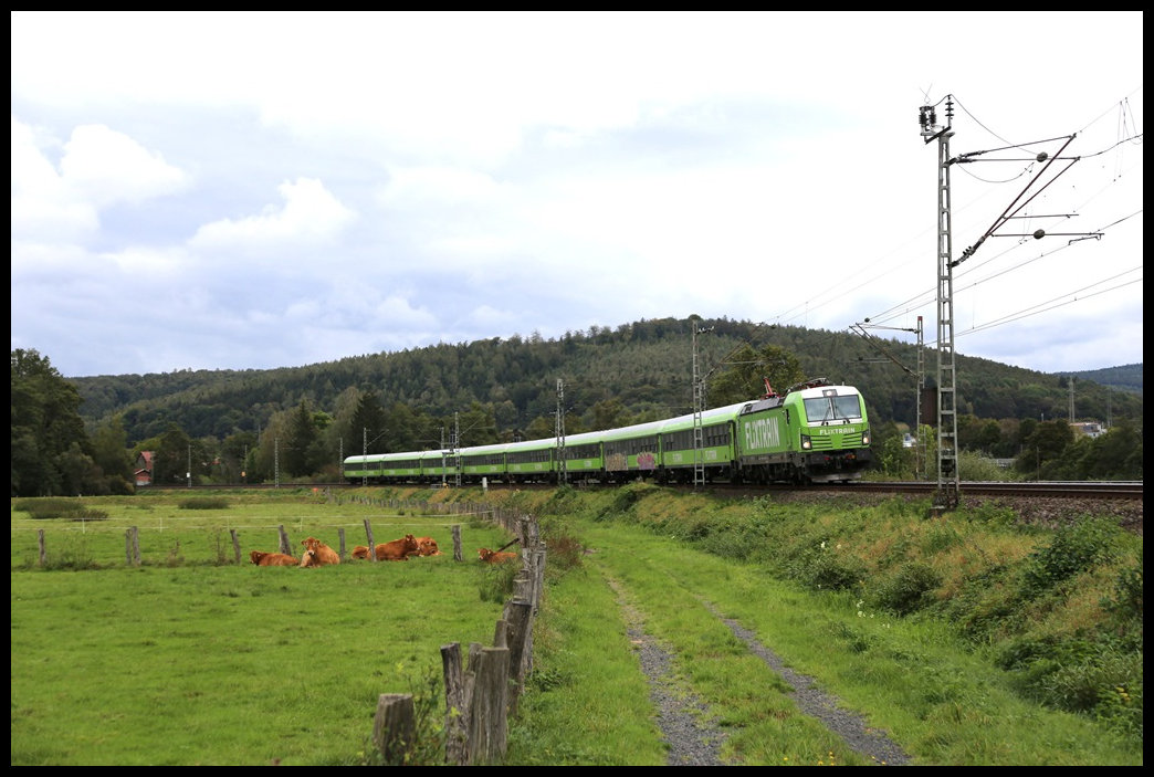 Bei Wirtheim ist dieser Flix Train  am 4.10.2024 um 15.18 Uhr in Richtung Hanau unterwegs.