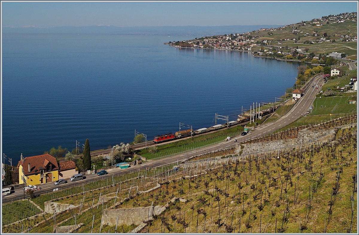 Beim kleinen Ort Treytorrens fährt eine SBB Re 4/4 II mit einem gemischten Güterzug Richtung Vevey. 
Im Hintergrund ist Epesses und Cully zu erkennen.
20. April 2018