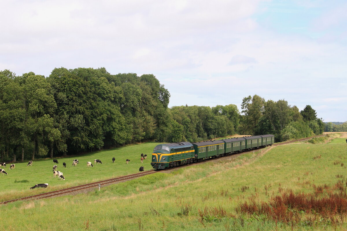 Belgiën Chemin de fer du Bocq
Lok 202020 vom PFT, ex 1602 vom CFL, mit einem Personenzug in Senenne
17/8/2014