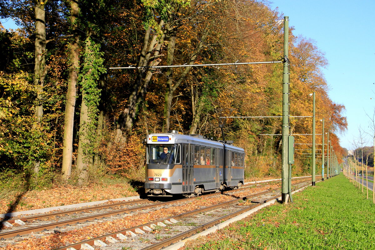 Belgium Brussels
Tram 7823 on line 44, avenue de Tervuren near rond-point Ravenstein 
7/11/2025

The end of service for the 7700/7800 series trams is approaching. Many trams have already been sent to the scrapyard. The remaining trams still operate regular services on lines 39 and 44. Since this summer, they have been supplemented by trams from the 7900 series. These, in turn, are gradually being replaced by TNG trams from the 3200 series on their traditional lines.
