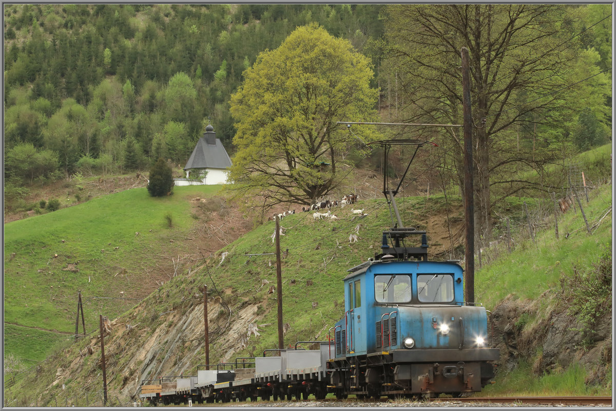 Bereits beim letzten Besuch hab ich mich über die  Landschaftspflege  gewundert...
Die Erklärung dazu fand ich am Freitag auf dem Hügel. 

Auf Höhe Gut Schafferwerke an diesem leider trüben 26.04.2019
