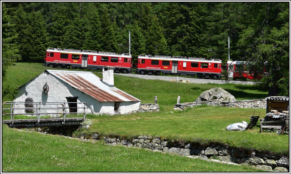 Bernina Express PE974 mit ABe 4/4 III 52  Brusio  und 53  Tirano  oberhalb von Cavaglia. (25.06.2019)