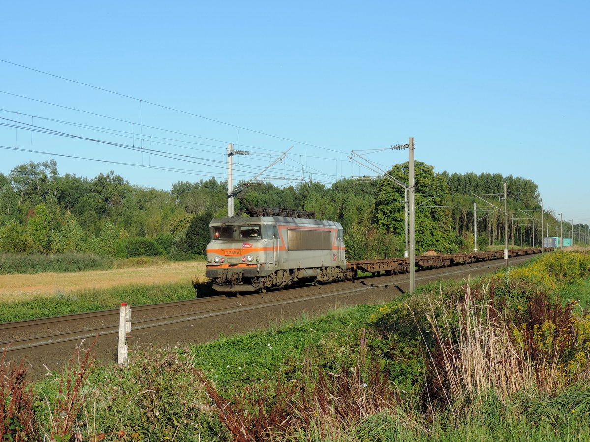 Bernolsheim 25/08/2016 : Die 22389 zieht den Naviland Marseille - Vénissieux - Strassburg Port du Rhin.