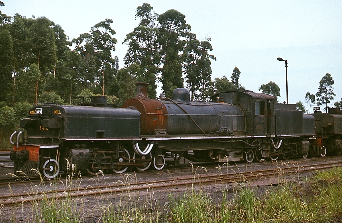 Beyer-Garratt-Lokomotiven der South African Railways: Ein Blick von der anderen Seite auf die GCA 2620 im Depot Masons Mill/Pietermaritzburg (November 1976)