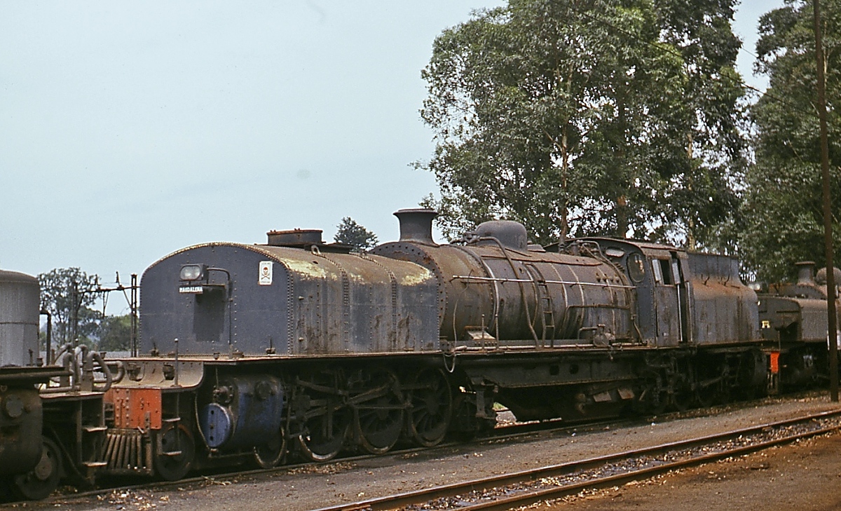 Beyer-Garratt-Lokomotiven der South African Railways: In den Jahren 1927 und 1928 lieferten Henschel, Hanomag und Maffei insgesamt 65 Lokomotiven der Class GF (Achsfolge 2'C1'+1'C2'h4t) nach Südafrika, von denen einige bis 1979 im Einsatz standen. Neben der hier abgebildeten GF mit unbekannter Nummer waren im November 1976 mindestens drei weitere (2396, 2423, 2426) im Depot Masons Mill abgestellt.
