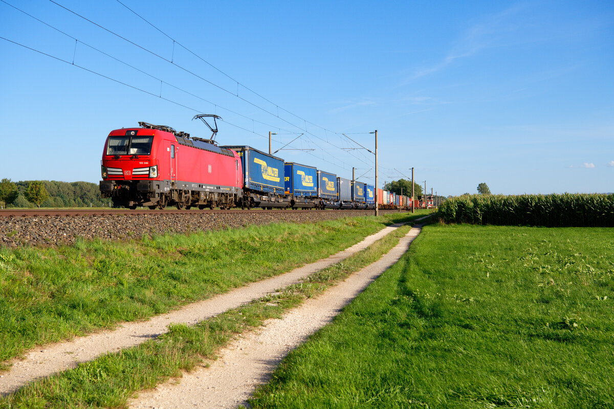 Bild #5000: 193 346 DB Cargo mit einem KLV-Zug bei Triesdorf Richtung Würzburg, 26.08.2020