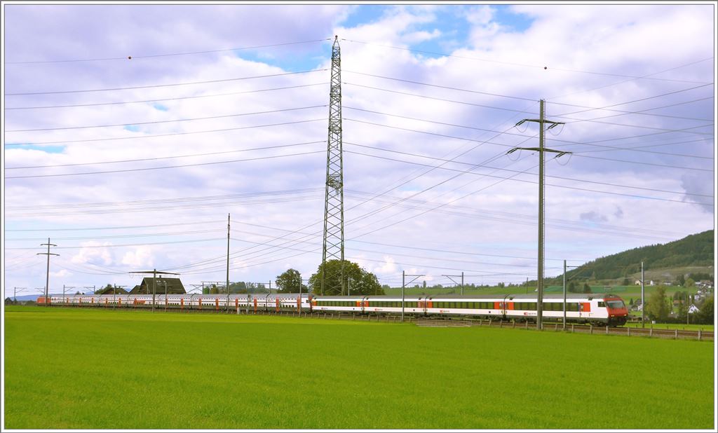 Bilder aus der March zwischen Pfäffikon SZ und Ziegelbrücke. EC207 mit 460 005-2 zwischen Siebnen-Wangen und Schübelbach-Buttikon. (24.09.2015)