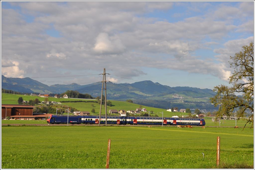Bilder aus der March zwischen Pfäffikon SZ und Ziegelbrücke. S2 zwischen Siebnen-Wangen und Schübelbach-Buttikon. (24.09.2015)