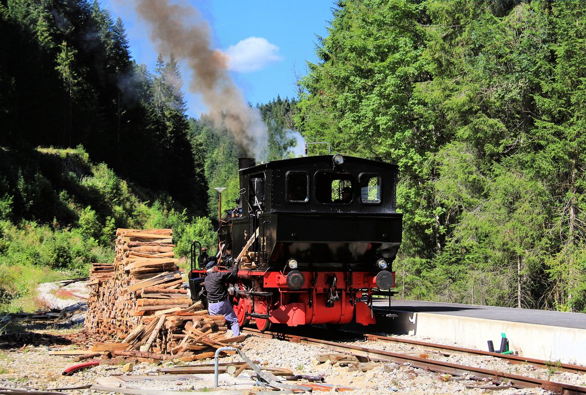 Bilder von der Coni'fer (Chemin de fer touristique Vallorbe - Pontarlier): Gefeuert wird zu einem grossen Teil mit Holz; hier kann dem gemütlichen Auffüllen fast des ganzen Führerstandes mit Brennholz zuschauen. 11.August 2018 