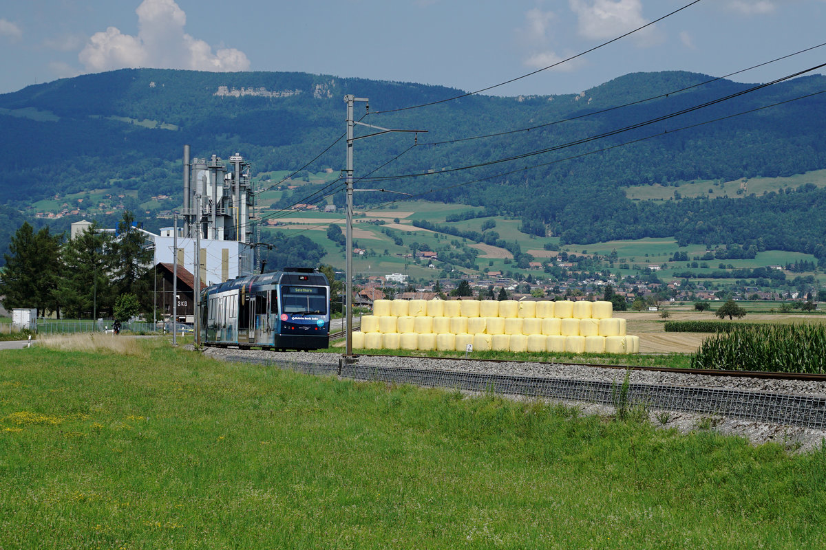 BIPPERLISI IN DER LANDSCHAFT.
Aare Seeland Mobil, ASm:
STAR Be 4/8 114 zwischen Niederbipp und Bannwil auf der Fahrt nach Langenthal am 16. Juli 2018.
Foto: Walter Ruetsch
