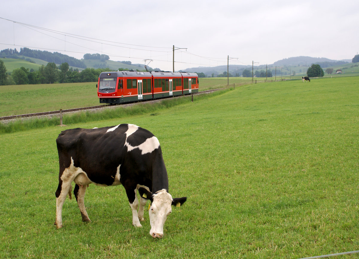 BIPPERLISI.
Die ersten drei neuen Niederflurzüge  STAR  (Schmalspur Triebzug für anspruchsvollen Regionalverkehr) kamen im Sommer 2008 in Betrieb. 
Mit den den Be 4/8 110-112 konnte das Rollmaterial aus den Jahren 1965/66 teilweise abgelöst werden.
Die Probefahrten fanden auf dem fotogenen und inzwischen zurückgebauten Streckenabschnitt St. Urban Ziegelei-Melchnau statt.
Die Aufnahmen mit dem Be 4/8 110 entstanden am 20. Mai 2008. 
Foto: Walter Ruetsch  