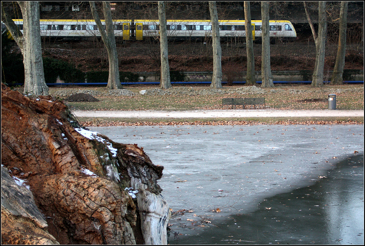 Bisher wohl ein Einzelstück -

...dieser Triebzug der Baureihe 412 in der weiß-gelben Farbgebung. In absehbarer Zeit werden im Raum Stuttgart aber Talent 2 und Flirt-Triebzüge in diesen Farben zum Alltag gehören.

Im Unteren Schlossgarten in Stuttgart.

26.01.2017 (M)
