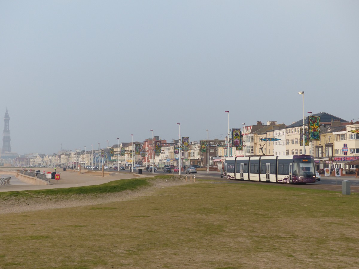 Blackpool Promenade - zur abwechslungsreichen Gestaltung gehören auch Rasenflächen. Da diese den Fußgänger manchmal etwas zu weiträumig von den Stationen und Ampeln abschneiden, werden sie recht häufig betreten und wirken daher abgenutzt. Die Tram fährt in Richtung Starr Gate. 17.3.2015