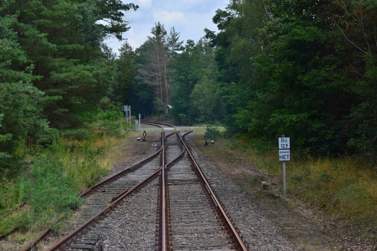 Blick  auf den Abweig zum Kraftwerk Vockerode. Links kam das Gleis von Jüdenberg aus.
Aufgenommen aus dem Triebzug. Der Führerstand ist nur halb so breit und somit sind auch ganz vorne noch Sitze für Fahrgäste was eine besondere Perspektive auf die Strecke bietet.

Oranienbaum 27.07.2020