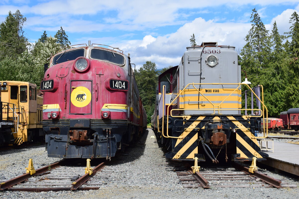 Blick auf die ACR 1404 Algoma Central Railway EMD FP7 auf der linken Seite und CANADIAN PACIFIC 6503 S3 SWITCHER auf der rechten Seite. Die Lok 6503 war ursprünglich Winnipeg zugeteilt und erwies sich als zuverlässig und robust. Die Lok wurde mit einer Pufferplatte über der Kupplung ausgestattet um auch  Personenwagen ziehen zu können. Die Lok war bis 1983 bei der Canadian Pacific Railway in ganz Kanada im Einsatz. 1983 ging die Lok 6503 an United Grain Growers terminals in Vancouver wo sie bis 1987 die Getreidewagen rangierte. Nach 1987 wurde sie von der West Coast Railway Association erworben. 

Squamish 13.08.2022