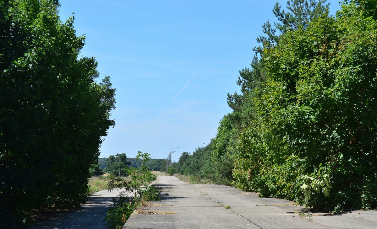 Blick auf die alte Ladestraße und Laderampe am Anschlussgleis der NVA in Nedlitz. 

Nedlitz 26.07.2018