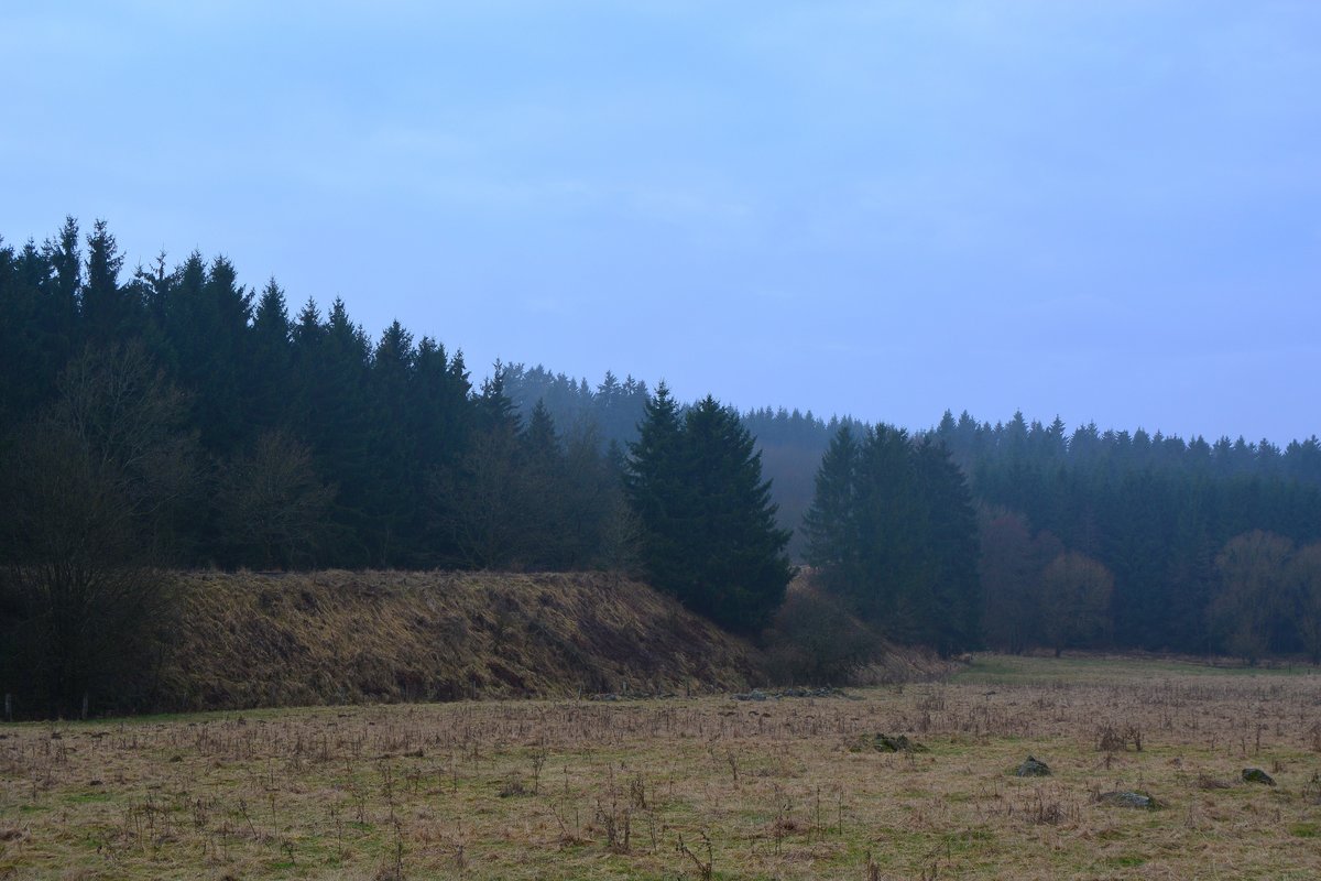 Blick auf den alten Bahndamm der Westerwaldquerbahn bei Fehl-Ritzhausen.

Fehl-Ritzhausen 17.12.2016