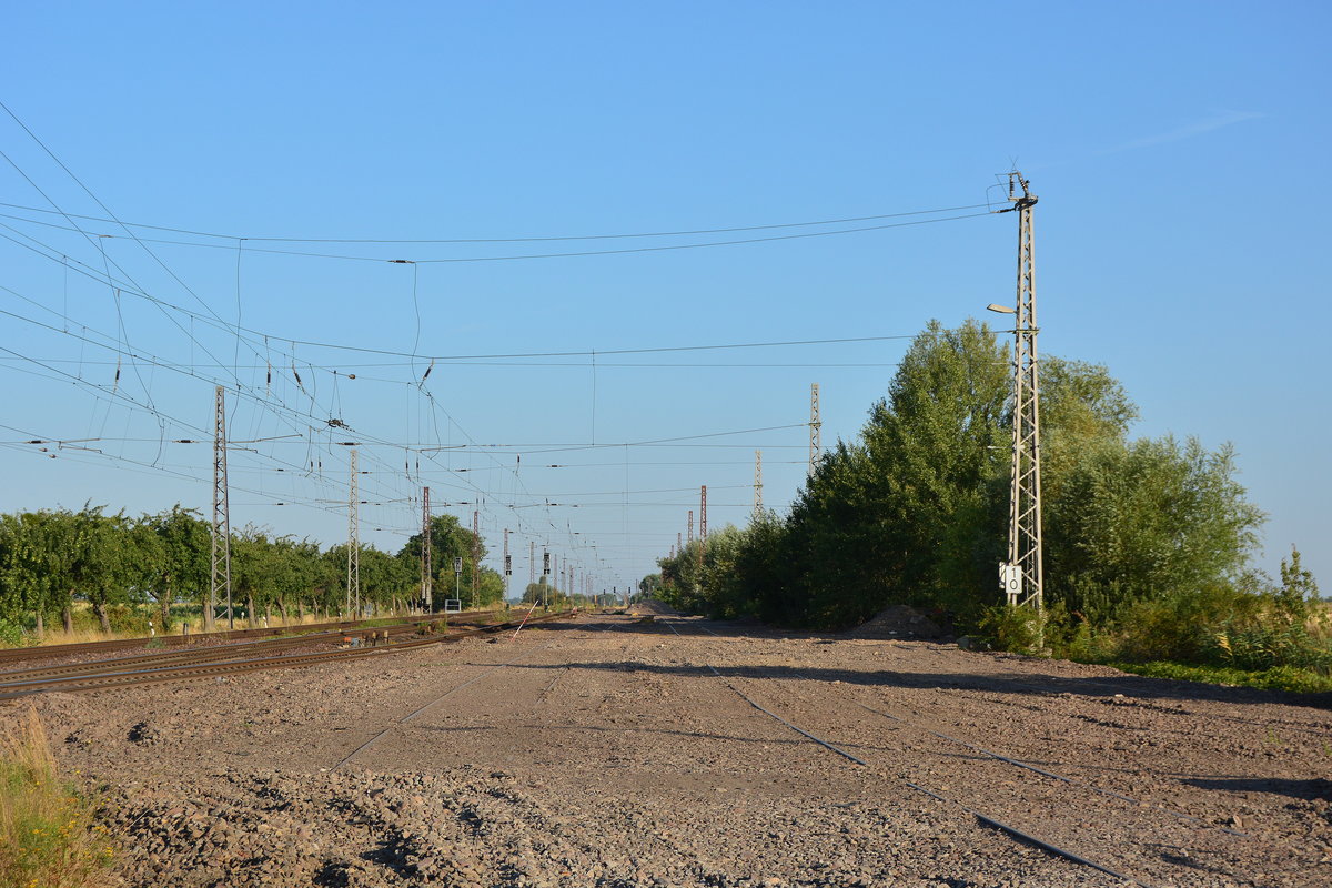 Blick auf die alten Gleise welche einst von der Kanonenbahn auf die Hauptbahn nach Magdeburg abzweigten. Während den Bauarbeiten wurden die Gleise wohl als Bauplatz umfunktioniert. Mittlerweile steht hier meterhoch das Gebüsch und die Signale sind dunkel. Das Bild wurde vom Bahnübergang aus aufgenommen.

Güterglück 27.07.2018