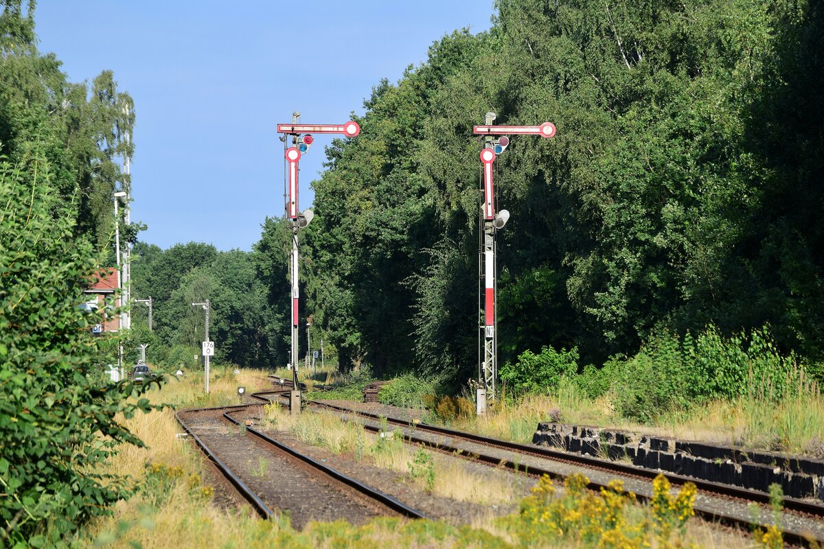 Blick auf die Ausfahrsignale in Dannenberg Ost.
Planmäßig wird nur das erste Gleis noch befahren. Im Rücken befinden sich einige Rangiergleise für die Castor Transporte.

Dannenberg 31.07.2021