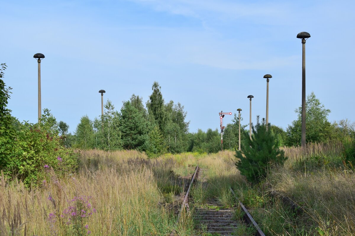 Blick auf die Ausfahrt in Richtung Colditz. Ein Formsignal hat bis heute dort überlebt. Der Personenverkehr wurde hier 2000 eingestellt.

Großbothen 12.08.2021