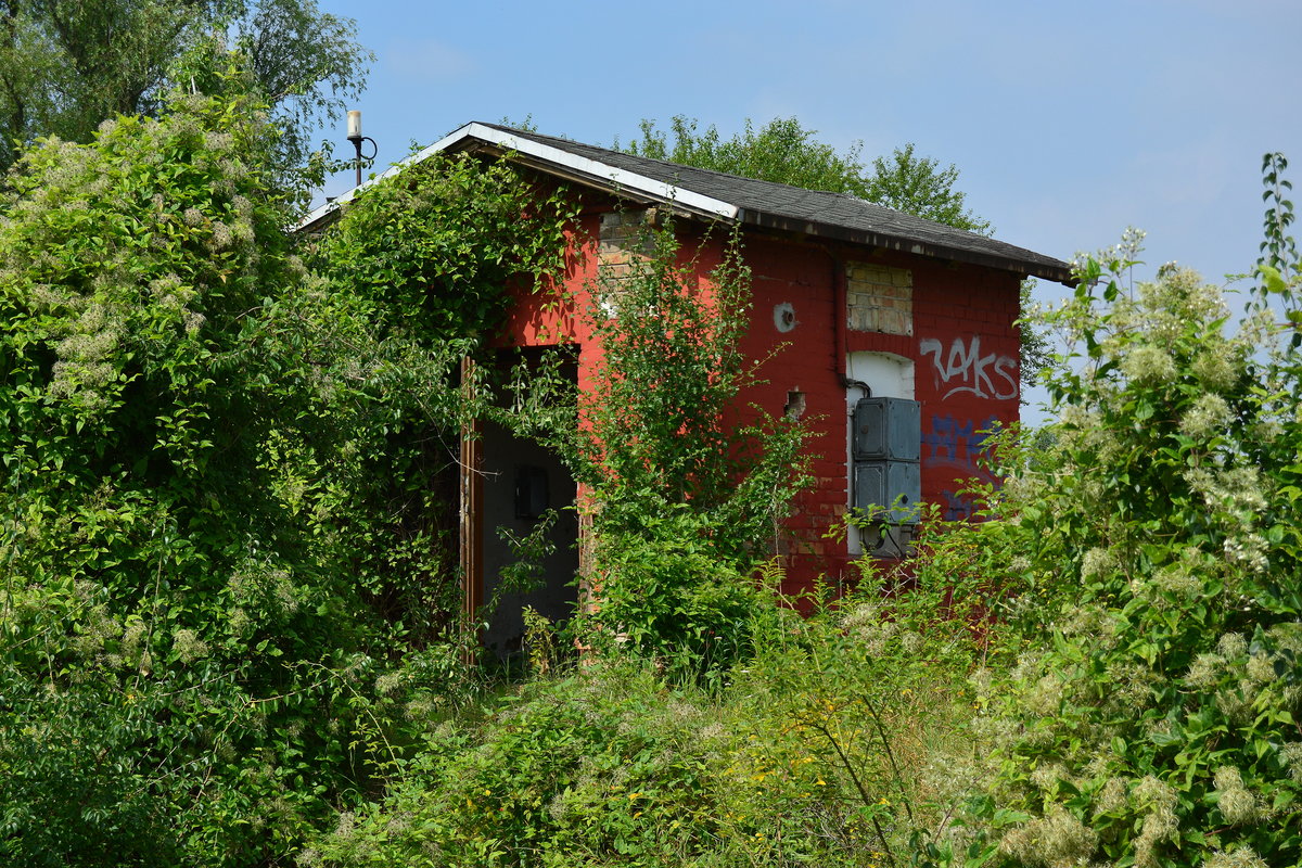 Blick auf die Blockstelle Neugattersleben. Seit 1998 ist hier die Strecke stillgelegt und größtenteils abgebaut worden.

Neugattersleben 02.08.2017