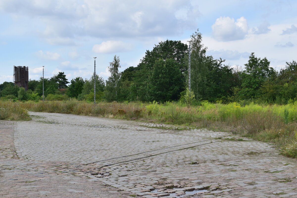 Blick auf die ehemalige Ladestraße sowie eines Schmalspurgleises welches vermutlich mal zu einer Feldbahn gehörte. Leider sich sich zum Gleis nichts herausfinden. Links sieht man die Ruine des ehemaligen Wasserturms.

Teuchern 11.08.2021