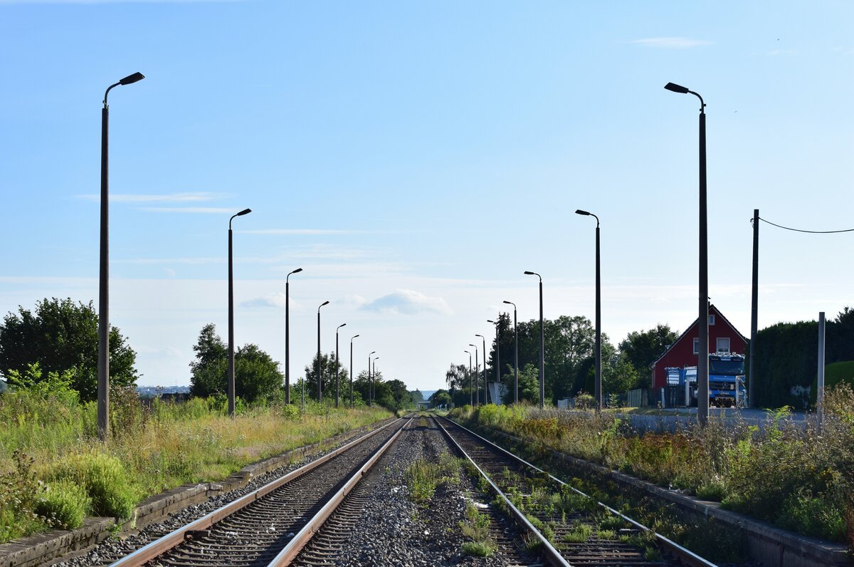 Blick auf den ehemaligen Haltepunkt Bornitz. Dieser wurde bis 2010 noch bedient. Seitdem verwachsen die Bahnsteige zusehens. Das Bild wurde vom BÜ Bornitzer Bahnhofstraße gemacht.

Bornitz 11.08.2021