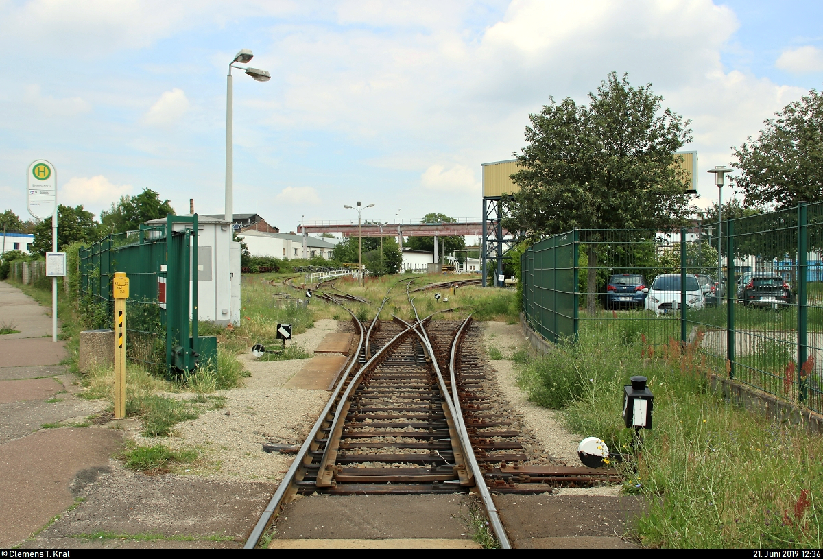 Blick auf ein paar Gleise der Maschinenbau und Service GmbH (MSG Ammendorf) in Halle-Ammendorf. Das im Juli 2006 gegründete Unternehmen beschäftigt sich mit dem Bau und der Reparatur von Schienenfahrzeugen, sowohl für in- als auch ausländische Auftraggeber. 
Bereits die Gottfried Lindner AG, der VEB Waggonbau Ammendorf sowie zuletzt die Deutsche Waggonbau AG (DWA) waren auf dem Gelände tätig. Mit rund 190 Beschäftigten stellt die MSG den zweitgrößten Industriebetrieb der Stadt Halle (Saale) dar.
Das im Vordergrund befindliche Gleis führt vorbei an einem unbeschrankten Bahnübergang über die Eisenbahnstraße, auf deren Fußweg das Foto aufgenommen wurde, und mündet in die Bahnstrecke Halle–Bebra (KBS 580) Richtung Merseburg. Ebenso besteht ein Abzweig zur größtenteils stillgelegten Bahnstrecke Merseburg–Leipzig-Leutzsch (KBS 584), an der sich ein Schrottverwerter in Halle-Osendorf befindet, der Güterzüge transportieren lässt.
[21.6.2019 | 12:36 Uhr]