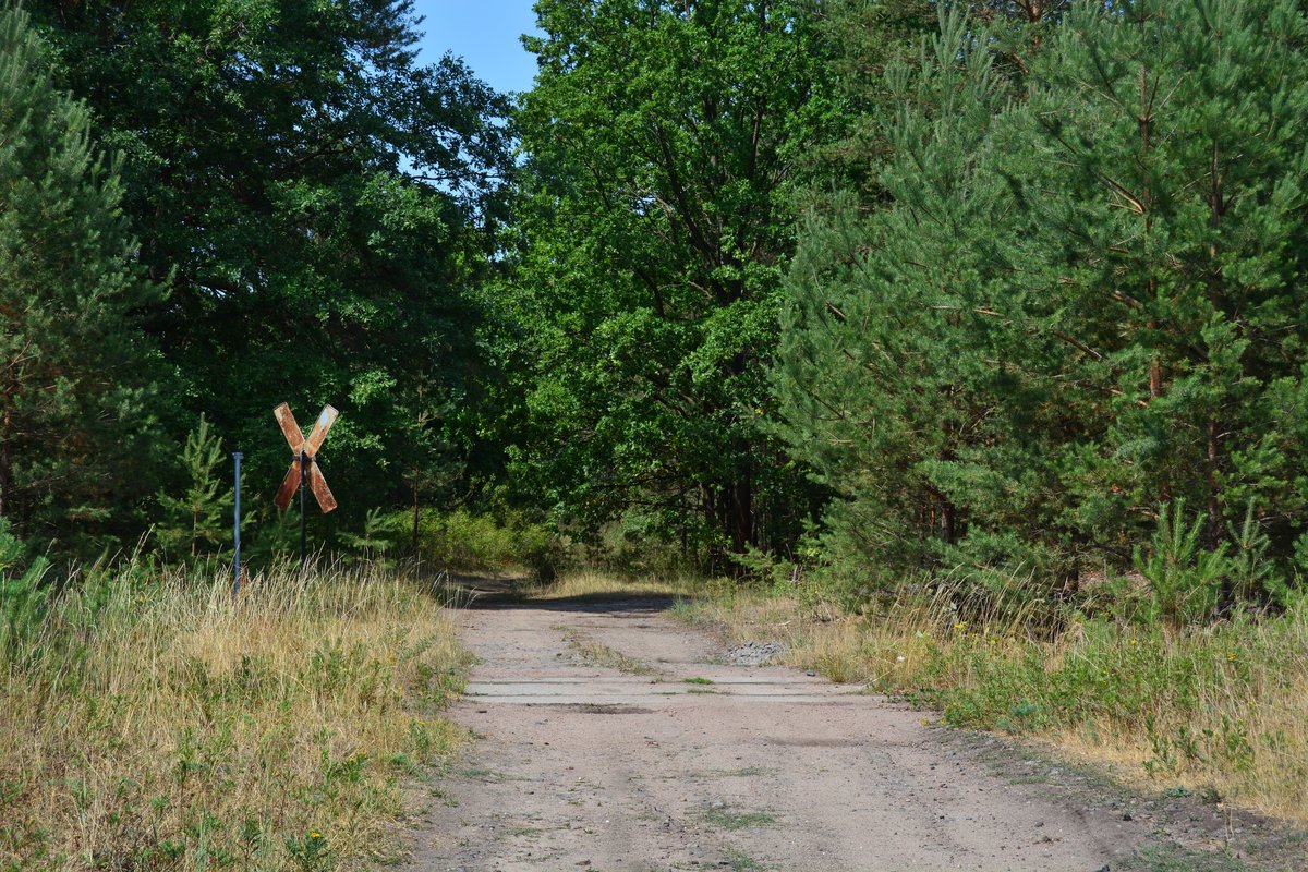 Blick auf einem alten Bahnübergang am ehemaligen Gleisdreieck Dessau - Wörlitz - Gräfenhainichen. Hier fährte einst das Gleis Dessau - Gräfenhainichen.

Oranienbaum 28.07.2018