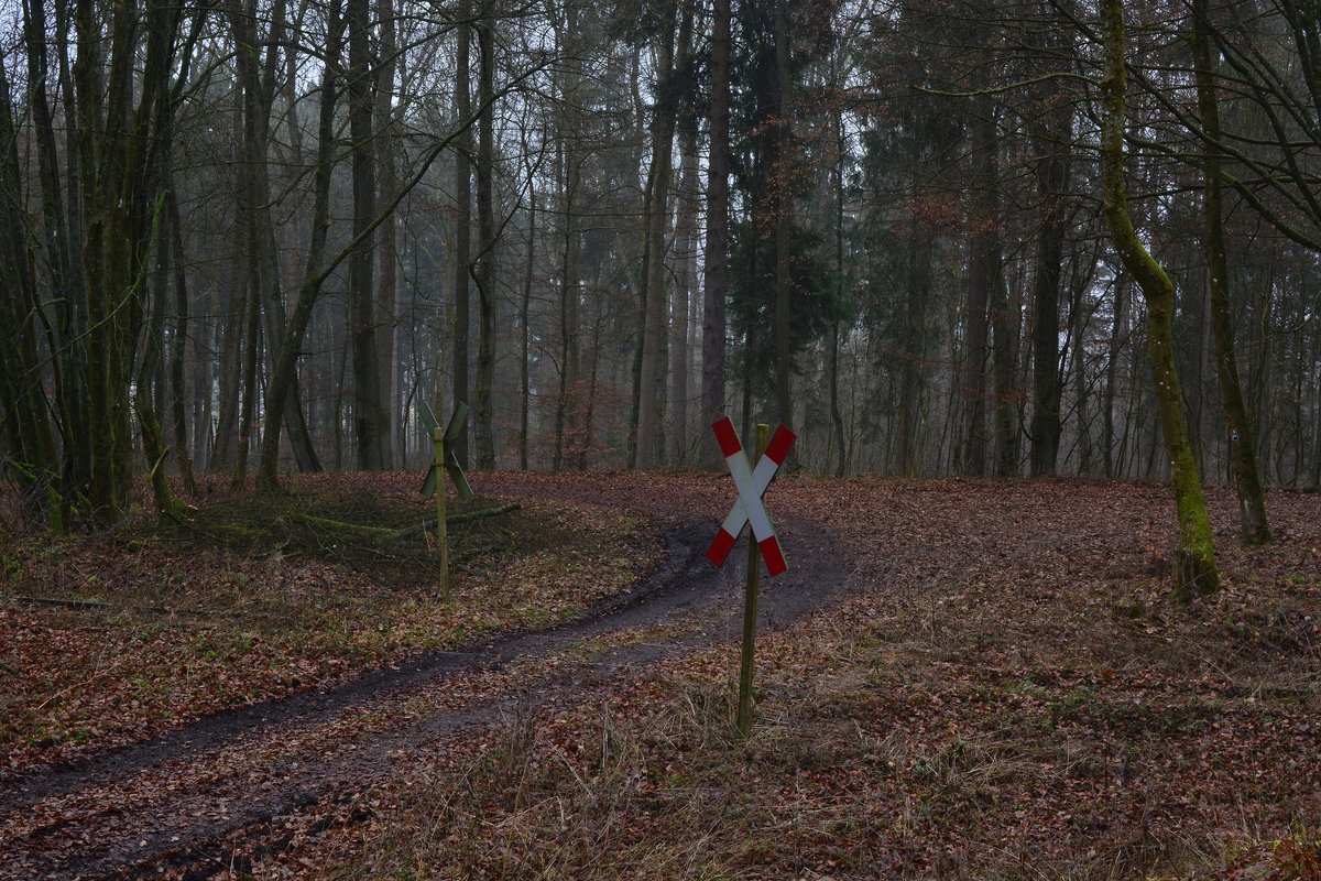 Blick auf einen kleinen Bahnübergang im Wald bei Höhn. Nach 18Jahren wird die Westerwaldquerbahn aus dem Dornröschenschlaf geholt. Man plant eine Draisinenstrecke von Rennerod bis Westerburg. Man hat bereits einige Bahnübergänge erneuert. Bisland ist erst der Abschnitt Rennerod - Fehl-Ritzhausen freigegeben und befahrbar. Bis auch hier Draisinen rollen wird es wohl noch etwas dauern.  

Höhn 17.12.2016