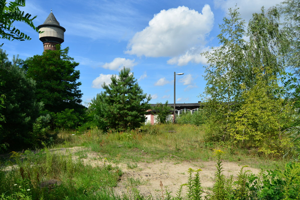 Blick auf die einstige Drehscheibe samt Ringlokschuppen des BW Elstal. 

Elstal 31.07.2017