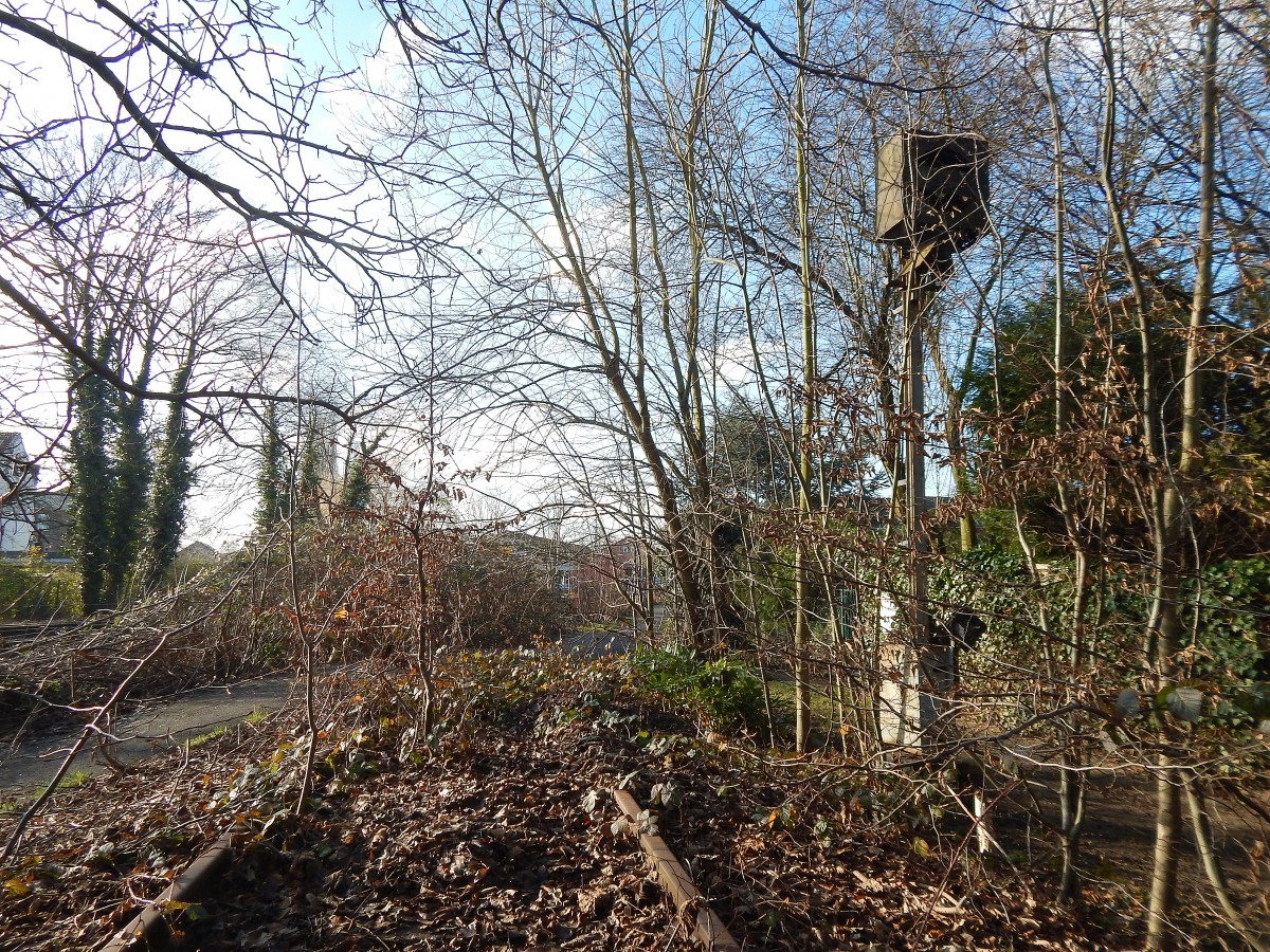 Blick auf den Eisernen Rhein vom alten britschen Anschlussgleis zu Holt 1. Rechts im Signal hat sich schon ein Vogelpaar ein Nest gebaut.

Mönchengladbach Rheindahlen 17.01.2015