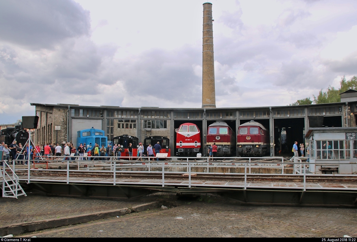 Blick auf die Gleise 1 bis 8 des Ringlokschuppens im DB Museum Halle (Saale) anlässlich des Sommerfests unter dem Motto  Diesellokomotiven der ehemaligen DR . Das Bild wird dem Motto vollends gerecht.
[25.8.2018 | 11:22 Uhr]