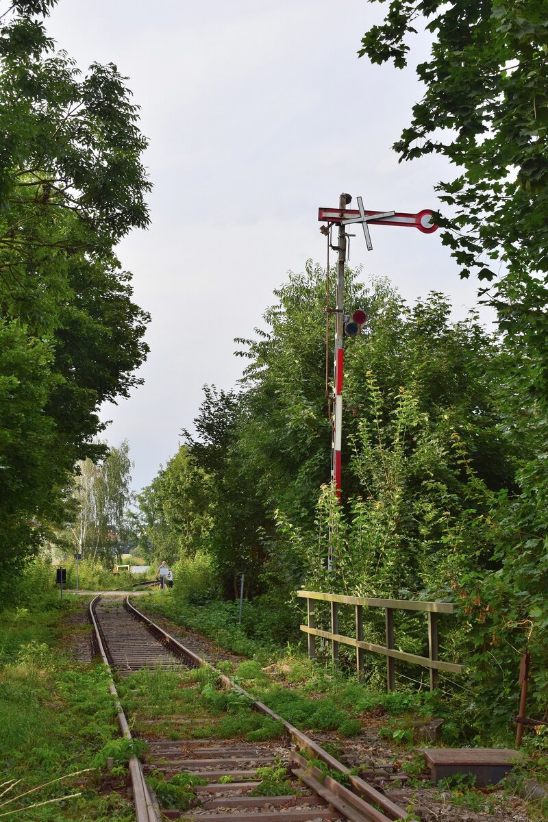Blick auf das Gruppenausfahrsignal Bad Düben in Richtung Pretzsch. 1998 wurden die durchgehenden Züge nach Eilenburg eingestellt und der letzte Ast von Wittenberg nach Bad Schmiedeberg Ende 2014 eingestellt. Zuletzt gab es hier 2017 Sonderzüge. Ende 2019 wurde die Strecke wegen Oberbaumängeln betrieblich gesperrt. Seitdem verwildern einige Teile der Strecke zusehens. 

Bad Düben 13.08.2021