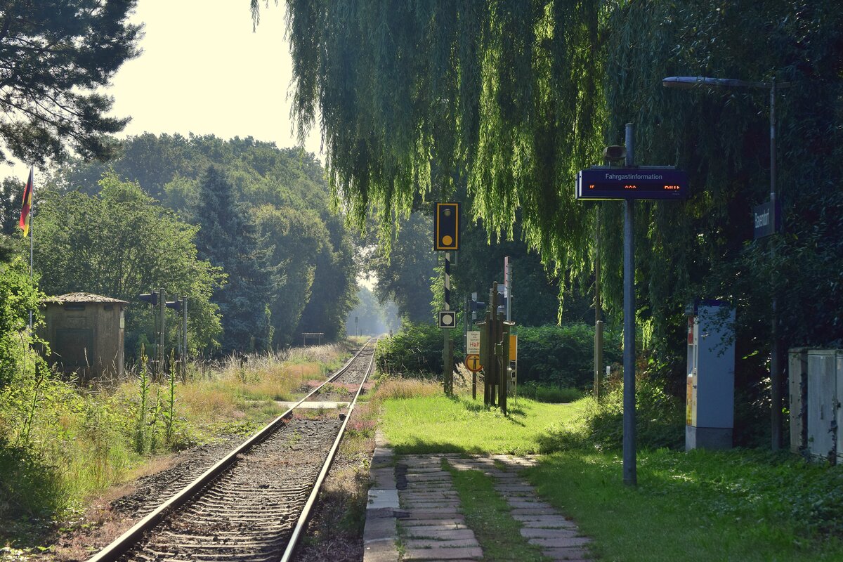 Blick auf den Haltepunkt Bavendorf. 

Bavendorf 30.07.2021