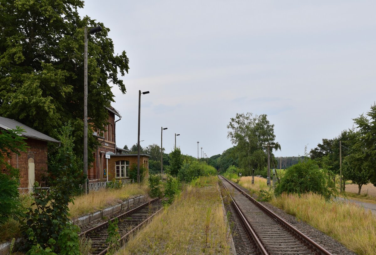Blick auf den Haus sowie Mittelbahnsteig in Söllichau. Im kleinen Vorbau des Empfangsgebäudes saß zu jener Zeit der Fahrdienstleiter. Heute ist das Gebäude verkauft und wird auch genutzt.
1998 wurden die durchgehenden Züge nach Eilenburg eingestellt und der letzte Ast von Wittenberg nach Bad Schmiedeberg Ende 2014 eingestellt. Zuletzt gab es hier 2017 Sonderzüge. Ende 2019 wurde die Strecke wegen Oberbaumängeln betrieblich gesperrt. Seitdem verwildern einige Teile der Strecke zusehens. 

Söllichau 13.08.2021