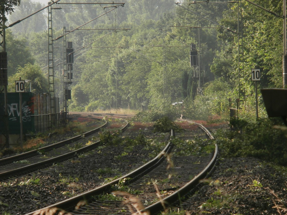 Blick auf die KBS 465 nach Köln. Die Strecke war am 10.6.14 von Mönchengladbach bis Köln komplett gesperrt. Heute ist sie von Rommerskirchen bis Köln wieder freigegeben und in den nächsten Tagen auch der Teil Grevenbroich Rommerskirchen. Die Strecke liegt voll mit kleineren und größeren Ästen und auch Teils mit umgeknickten Bäumen.

Grevenbroich 10.06.2014
