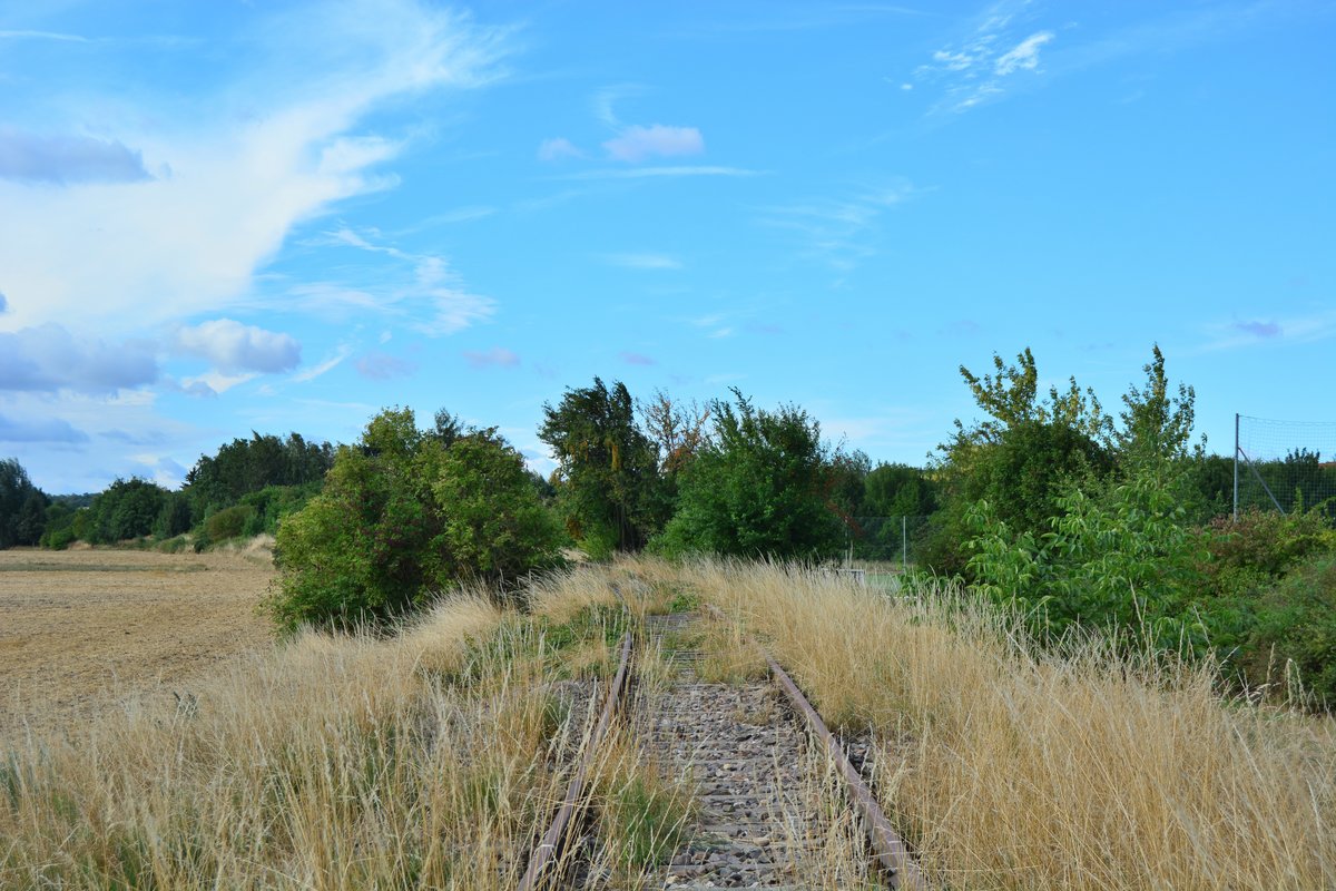 Blick auf die Kleinbahn Erfurt Nottleben in Marbach. Bis 2003 konnte sich hier noch der Güterverkehr zum Marbacher Silo halten. Der Personenverkehr endete hier schon 1995. Blick in Richtung Marbach.

Marbach 10.08.2018