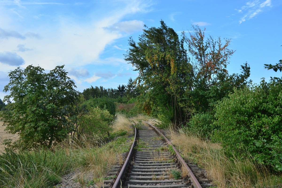 Blick auf die Kleinbahn Erfurt Nottleben in Marbach. Bis 2003 konnte sich hier noch der Güterverkehr zum Marbacher Silo halten. Der Personenverkehr endete hier schon 1995. Blick Richtung Marbach.

Marbach 10.08.2018