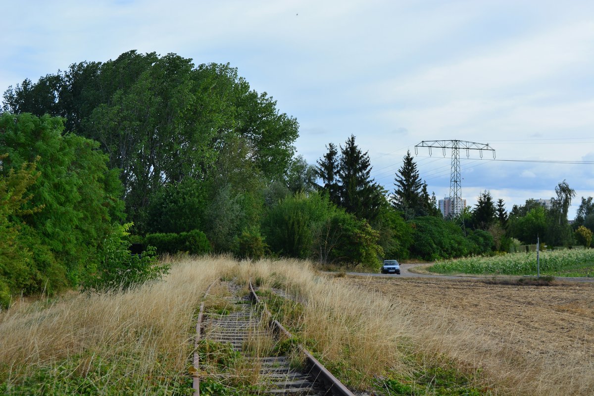 Blick auf die Kleinbahn Erfurt Nottleben in Marbach. Bis 2003 konnte sich hier noch der Güterverkehr zum Marbacher Silo halten. Der Personenverkehr endete hier schon 1995. Blick Richtung Erfurt.

Marbach 10.08.2018
