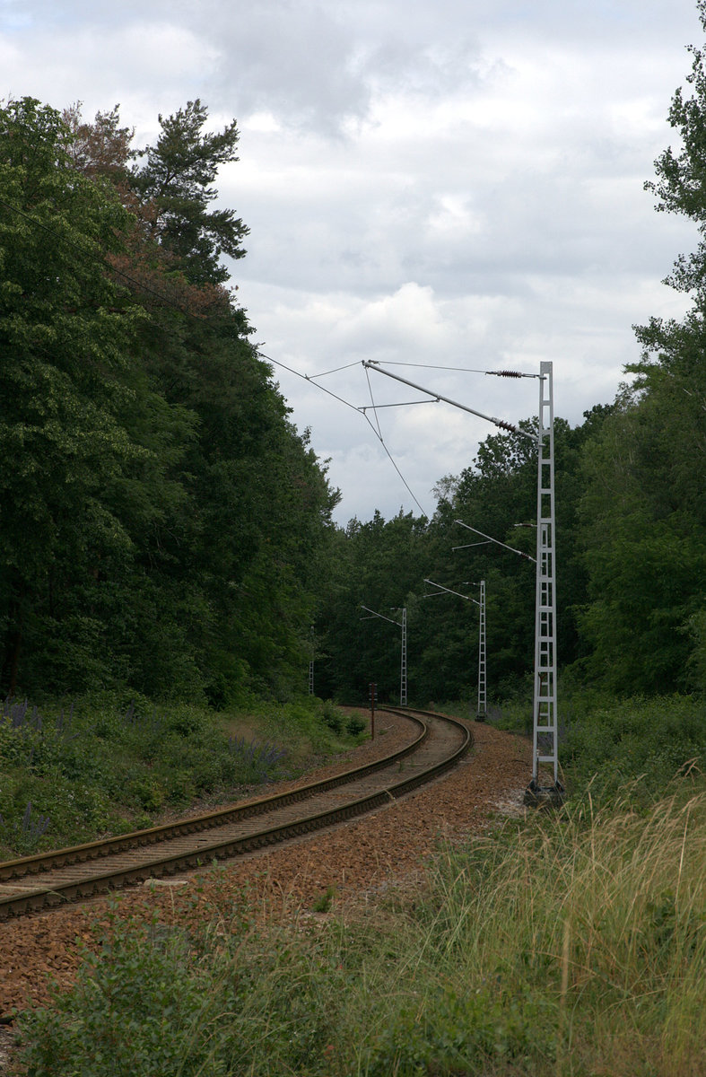 Blick auf die Kurve hinter Hosena, die Industriebahn fühhrt zum Steinbruch Koschenberg.20.6.2020, 11:23 Uhr, bei Hosena.