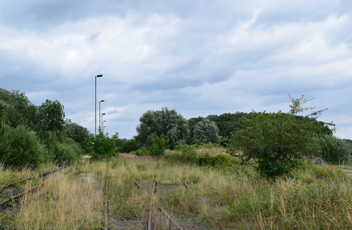 Blick auf die Laderampe und Gleise nach Salzwedel. Die Strecke wurde 2004 durch die DB stillgelegt und zum 1. Januar 2007 von der DRE zur Streckensicherung gepachtet. Da auf dem Abschnitt Klötze - Oebisfelde von den Kommunen kein Interesse am Schienenverkehr vorlag wurde die Strecke 2008 durch die DRE abgebaut. Auf dem Abschnitt Salzwedel - Klötze befuhren 2014 und 2015 Sonderfahrten. Seither ist die Strecke ohne Verkehr und wächst stetig zu. 

Siedenlangenbeck 31.07.2021