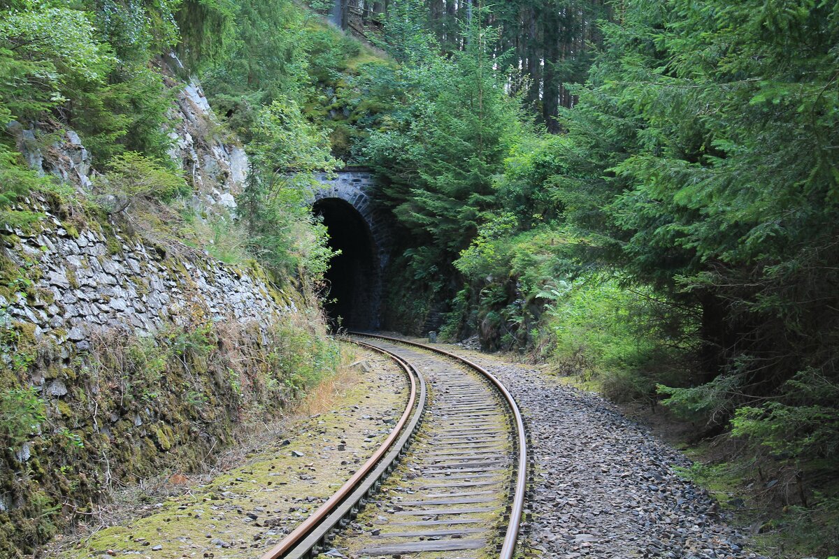 Blick auf das Nordportal des 118m langen Ziemstunnel, auch Mühlbergtunnel III genannt, bei Kilometer 35,6. Streckenabschnitt Ziegenrück-Remptendorf der stillgelegten KBS556 / Foto vom 12.7.2020