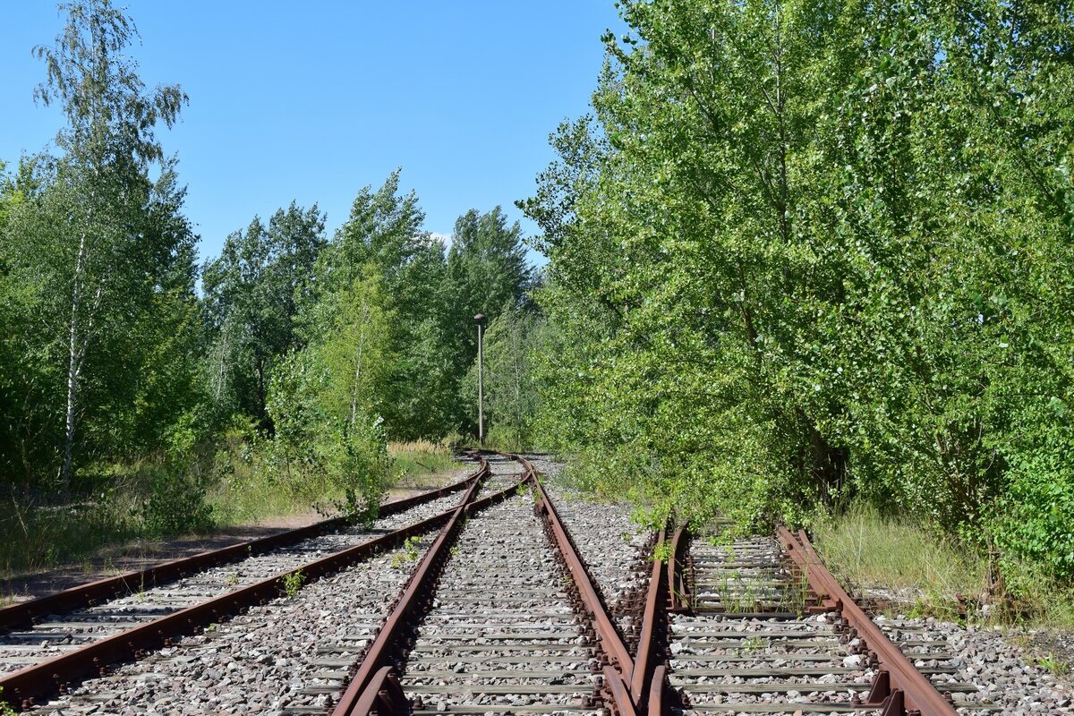Blick auf stillgelegte Weichenverbindungen in Blick Richtung Raffinierie. In Braunsbedra umweit des Bahnhofes gab es bis Ende der 90er Jahre die Mineralölwerke Lützkendorf. Heute zeugen nur noch die alten Wege sowie einzelne Gleisanlagen und einzelne Gebäuderuinen von der einstigen Raffinerie. 

Braunsbedra 14.08.2021