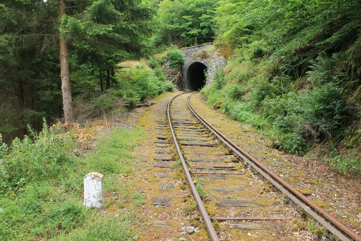 Blick auf das Süd-Westportal des 89m langen Schweinbachtunnel, auch Schwalmischtunnel genannt, bei Kilometer 33,1. Streckenabschnitt Liebschütz-Ziegenrück der stillgelegten KBS556 / Foto vom 9.7.2022