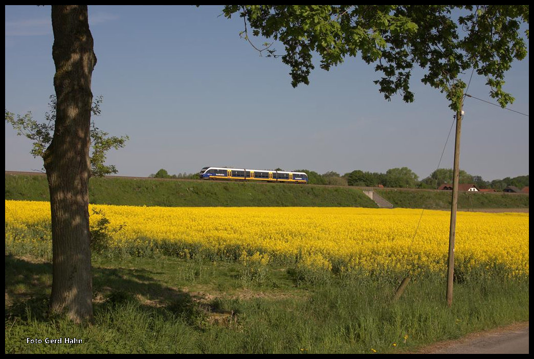 Blick auf die südlich von Wellendorf gelegene Rampe. Am 13.05.2016 war dort um 09.52 Uhr ein Talent der NWB in Richtung Osnabrück unterwegs.