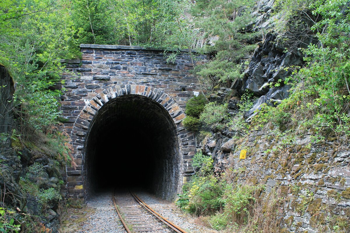 Blick auf das Südportal des 118m langen Ziemstunnel, auch Mühlbergtunnel III genannt, bei Kilometer 35,7. Nach wenigen hundert Metern folgt die berühmte Ziemstalbrücke.  Streckenabschnitt Ziegenrück-Remptendorf der stillgelegten KBS556 / Foto vom 12.7.2020