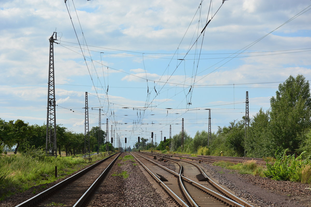 Blick auf die Überreste der Gütergleise des Bahnhofes Güterglück. Von links fädelte sich die Kanonenbahn auf die Strecke Dessau - Magdeburg ein. Heute ist nur noch 1 Überholungsgleis übrig. Die anderen Gleise rechts ohne Oberleitung rosten vor sich hin und sind stillgelegt. Bild wurde vom BÜ gemacht.

Güterglück 04.08.2017