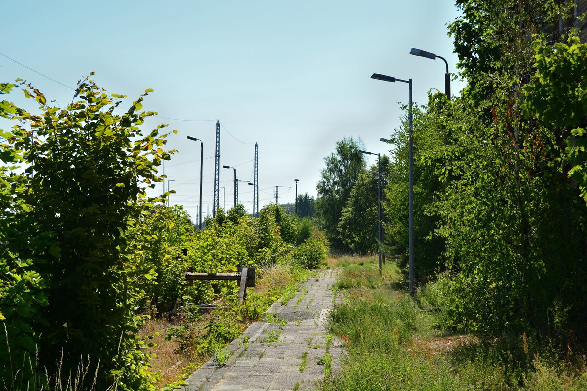 Blick auf die verwachsenen Bahnsteige der ehemaligen Städtebahn in Bad Belzig.

Bad Belzig 26.07.2018